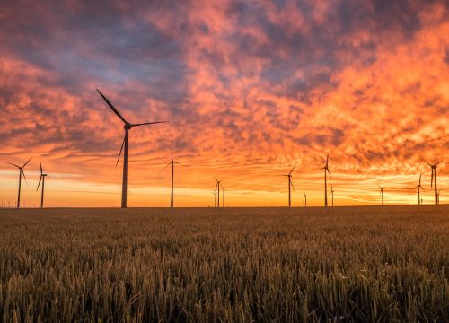 windmills, fields, sunset-1838788.jpg